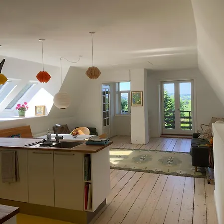 Historic With View 아파트 *